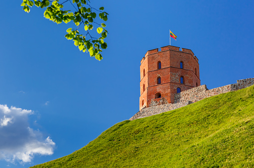 Tower of Gediminas in the summer morning In Vilnius, Lithuania. 