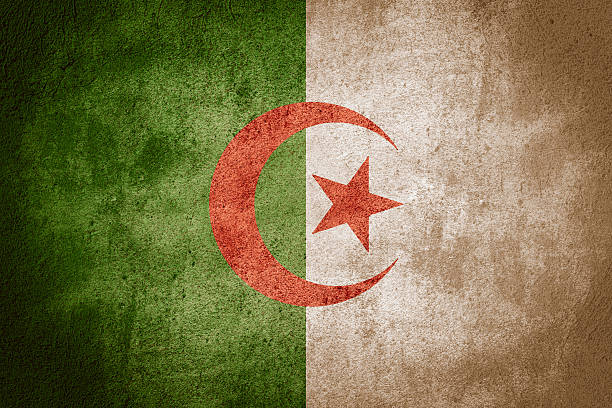 flag of Algeria or Algerian banner on rough pattern background