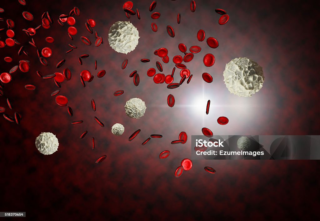 Red and White Blood Cells Healthy human red and white bloodcells in close up 3d graphics render Haematopoiesis Stock Photo