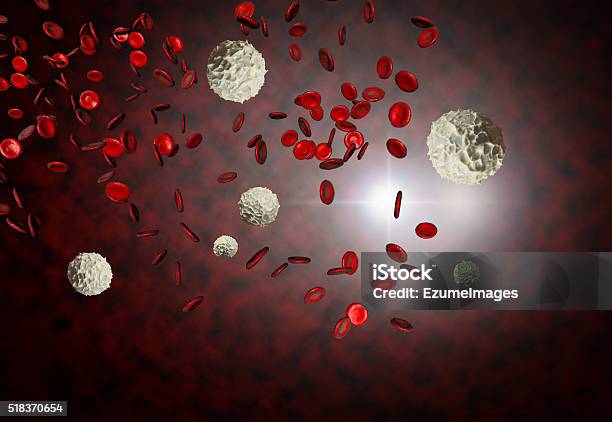 Red And White Blood Cells Stock Photo - Download Image Now - Haematopoiesis, Biological Cell, Biology