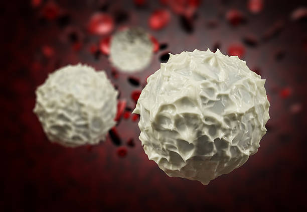Red and White Blood Cells Healthy human red and white bloodcells in close up 3d graphics render white blood cell stock pictures, royalty-free photos & images