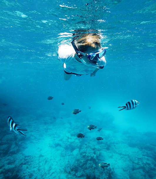 istock Swimming With Fishes 518371092