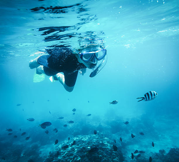 istock Swimming With Fishes 518371750