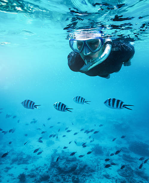 Swimming With Fishes