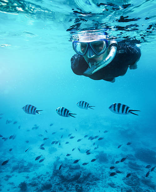Swimming With Fishes Woman snorkeling in the Indian ocean (Zanzibar island, Tanzania). blue damsel fish photos stock pictures, royalty-free photos & images