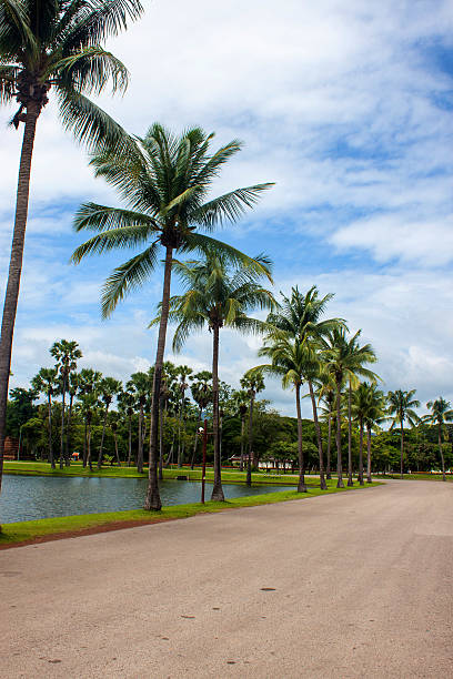 istock Palms in Sukhothai Historical Park 518377653