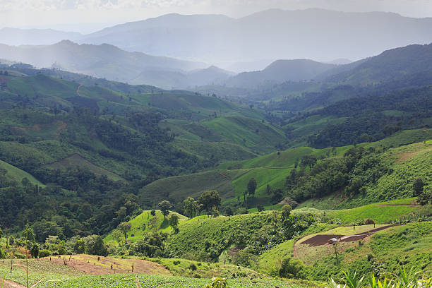 istock landscape with green corn field, forest, mountains 518377731