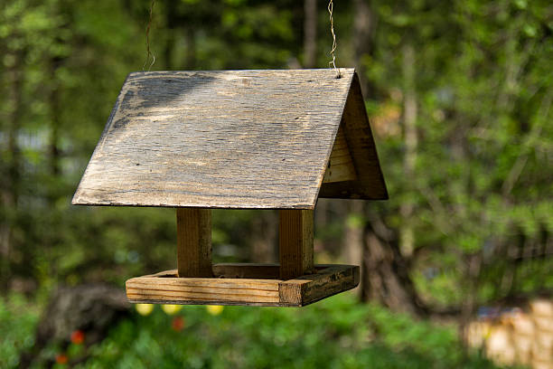 istock Feeders for the birds 518379974