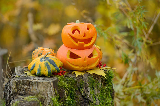 istock Halloween scary pumpkin in autumn forest 518381259