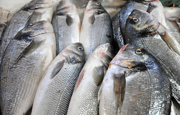 istock Fresh fish in a fish market 518381401