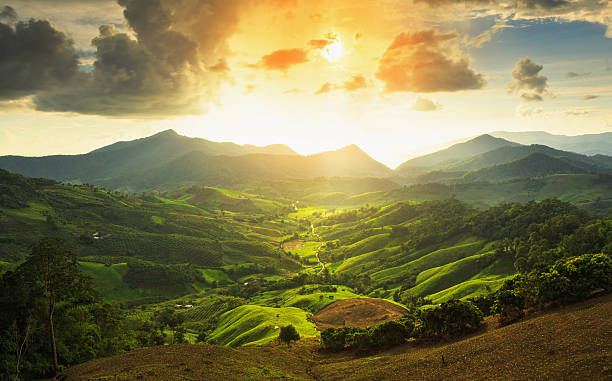 istock landscape with green corn field, forest, mountains 518381967