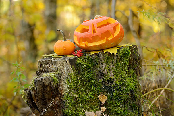 istock Halloween scary pumpkin in autumn forest 518382069