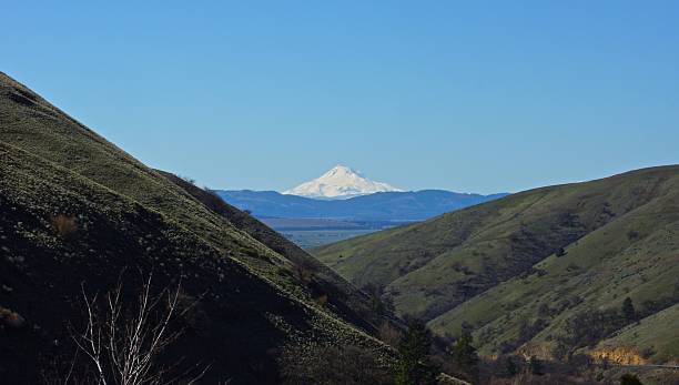 istock Mt. Jefferson Far East 518382780