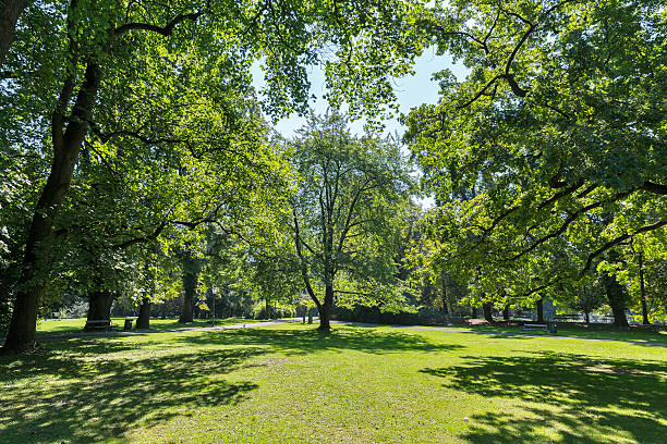 City park in Graz, Austria
