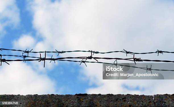 Barbed Wire Wall Stock Photo - Download Image Now - Abstract, At The Edge Of, Back Lit