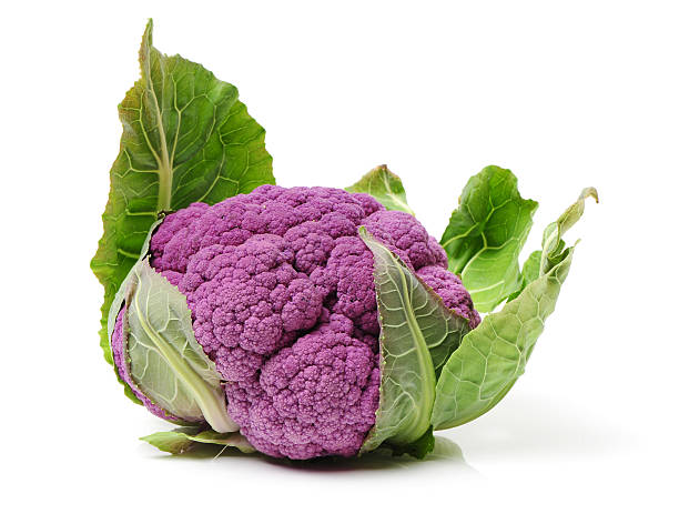 fresca lila coliflor aislado - cauliflower vegetable white isolated fotografías e imágenes de stock