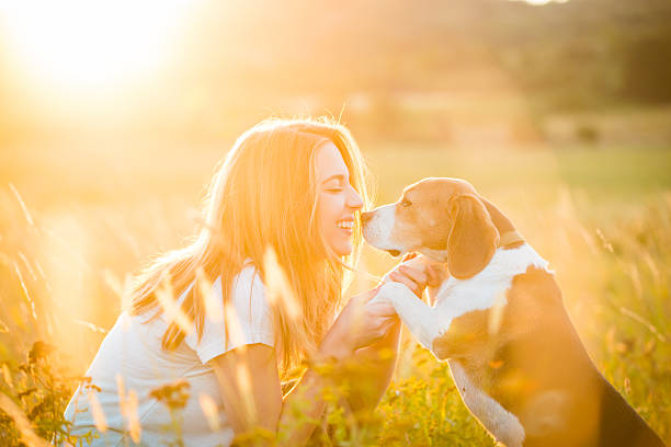 Woman and dog stock photo