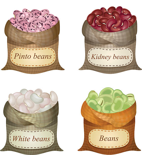 Four untied sacks with beans, peas and labels on them Untied sacks with white beans, kidney beans, green beans, pinto beans and names on them naming organic compounds stock illustrations