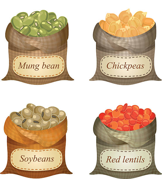 illustrazioni stock, clip art, cartoni animati e icone di tendenza di quattro slacciato sacchi con fagioli e lenticchie e le etichette su - legume bean chick pea sack