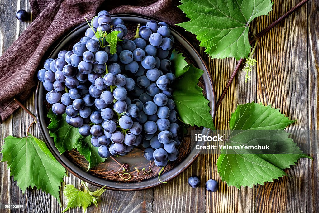 Grape Agriculture Stock Photo