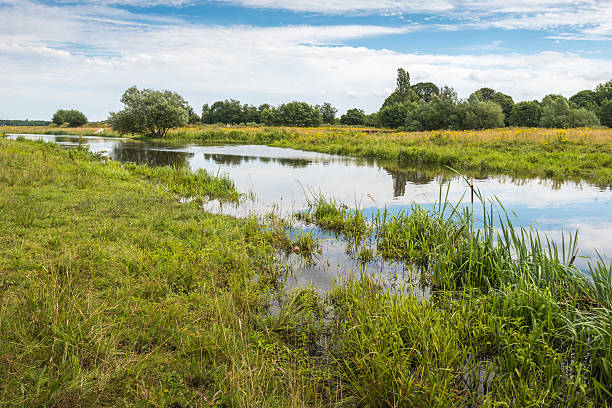 istock Rural landscape in summertime 518403871