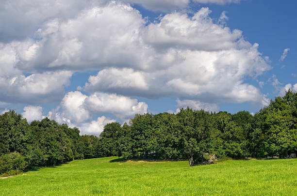 istock Green Country Landscape. 518404629