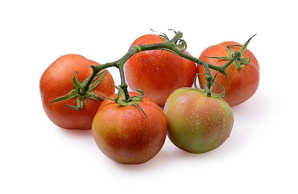 istock Fresh red tomato with green stem on white background 518405699