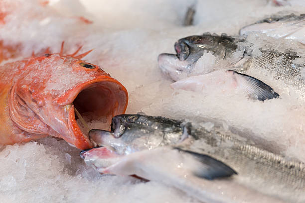istock Pike Place Market 518406690