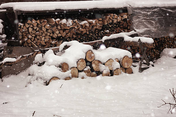 istock Chopped firewood in woodpile 518408608