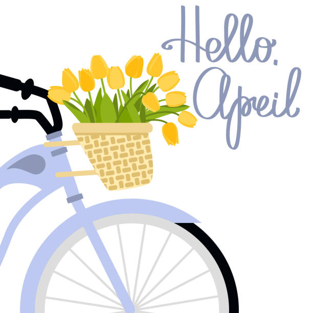Vector illustration with bicycle and tulips Vector illustration with bicycle and tulips in flat style. Text hello april april stock illustrations