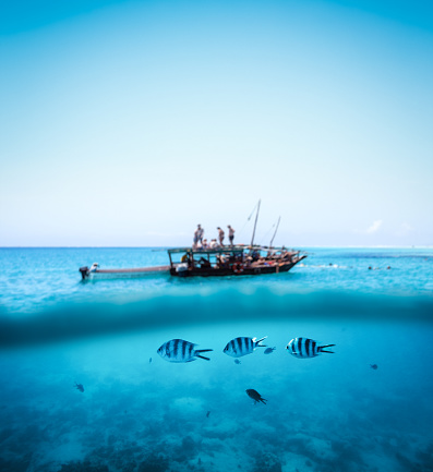 Group of tropical fishes swimming in the sea. Combined underwater and surface view. Background: Blurred tourist boat on Zanzibar island (Africa),
