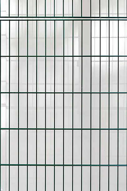 istock Green wire netting fence before white wall background 518408890