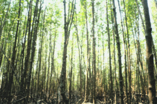 istock Blurred sstyle of forest bckground 518408978
