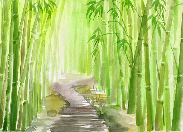 Green bamboo forest Single path alley through green bamboo forest original watercolor painting. chinese culture paintings bush painting stock illustrations