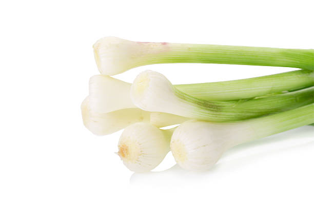 istock Allium porrum on white background 518410136