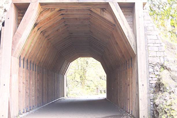 Wooden covered walk bridge 