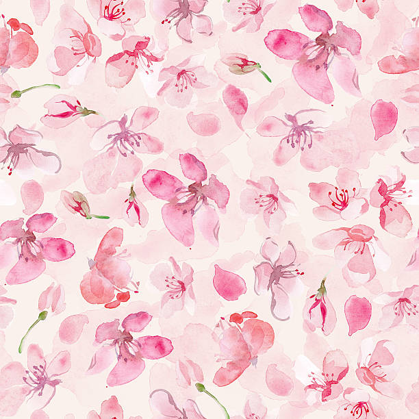 illustrazioni stock, clip art, cartoni animati e icone di tendenza di sakura fiori sfondo - flower spring cherry blossom blossom