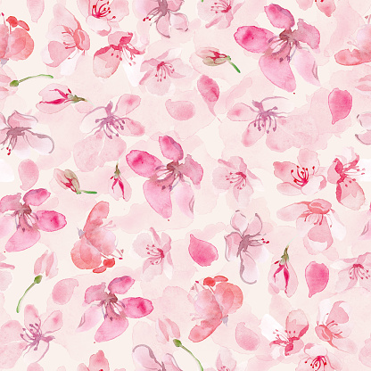 Watercolor sakura flower background. Cherry flower seamless pattern