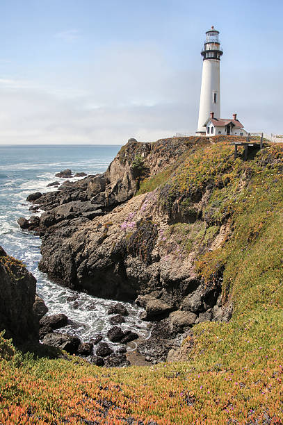 istock Pigeon Point Lighthouse, Pescadero, California 518411300
