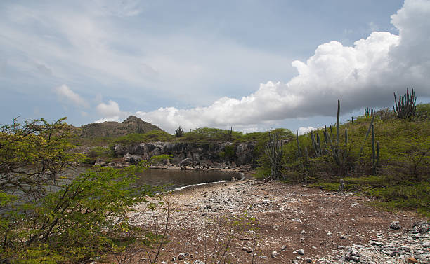 istock Bonaire caribbean island landscapes 518411306