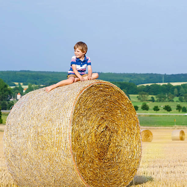 istock Little kid boy sitting on hay bale in summer 518423546