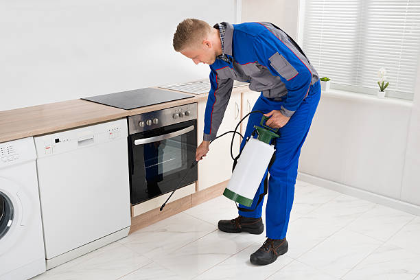 istock Man Spraying Pesticide In Kitchen Room 518423548