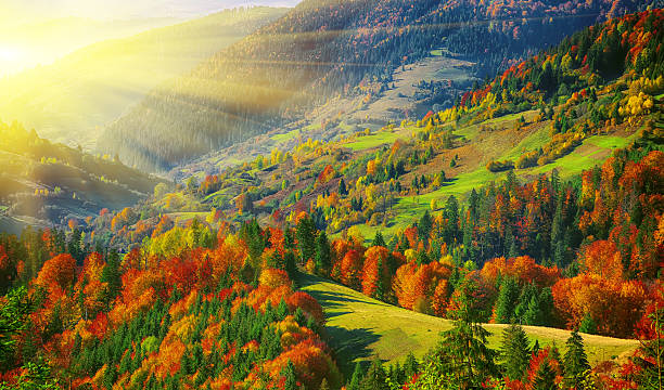 istock the mountain autumn landscape with colorful forest 518425130