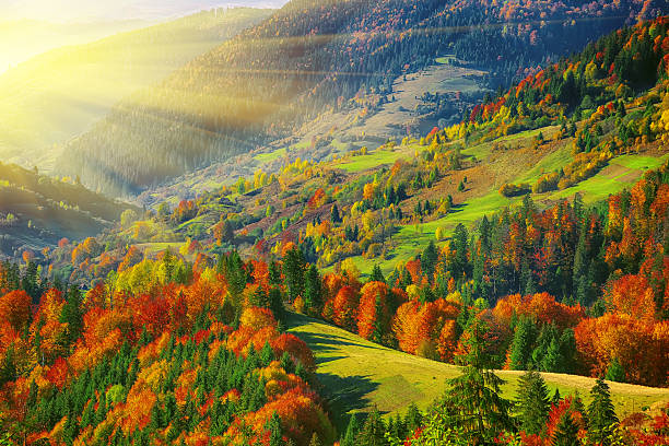 istock the mountain autumn landscape with colorful forest 518425298