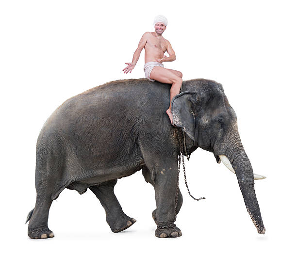 istock mahout rides on an elephant and invites you to sit 518425670