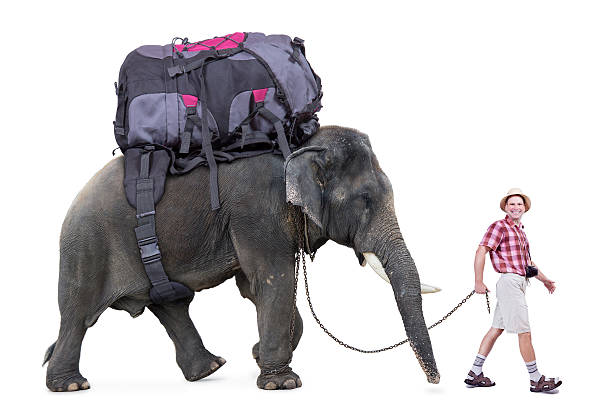 istock tourist walking a elephant, isolated on white background 518425788