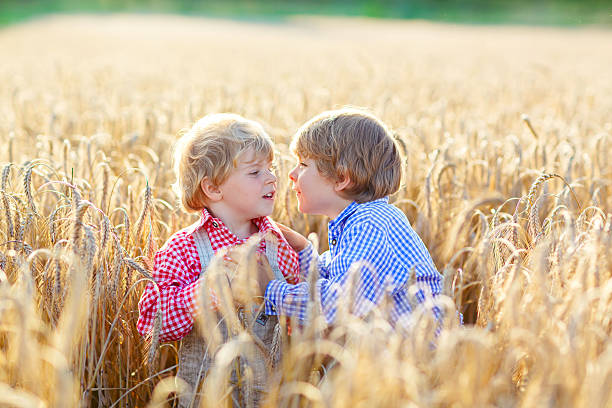 istock Two little sibling boys having fun yellow wheat field 518427550