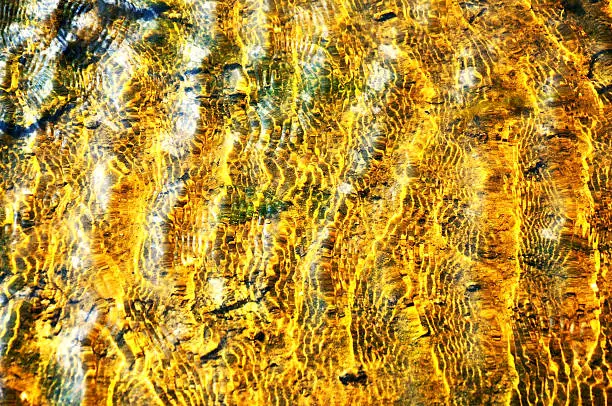 Photo of Transparent yellow water in the sunlight, swellings. Seabed