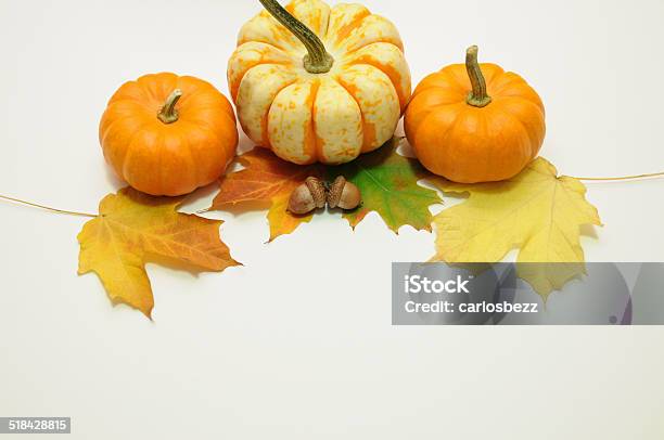 Pumpkins Halloween Stock Photo - Download Image Now - Acorn, Arrangement, Autumn