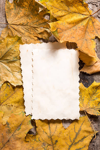 istock Vintage blank paper cards for notes on fallen leaves 518429080